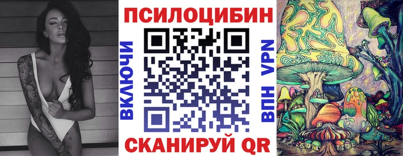 Галлюциногенные грибы Psilocybe  даркнет сайт  Мостовской 